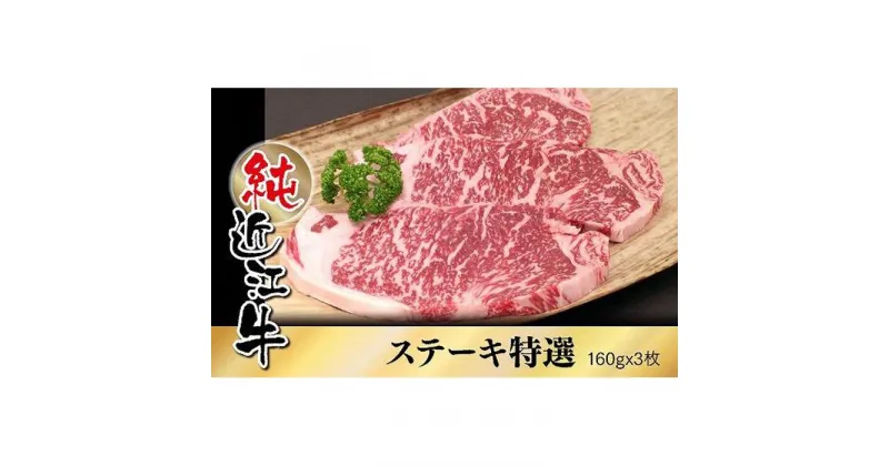 【ふるさと納税】近江牛 特撰 ステーキ肉 160g×3枚 | 肉 お肉 牛肉 日本三大 黒毛和牛 滋賀 ギフト 贈答 お取り寄せ グルメ 人気 おすすめ 草津市