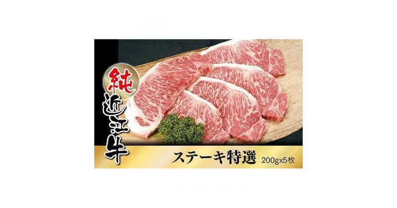 【ふるさと納税】近江牛 特撰 ステーキ肉 200g×5枚 | 肉 お肉 牛肉 日本三大 黒毛和牛 滋賀 ギフト 贈答 お取り寄せ グルメ 人気 おすすめ 草津市