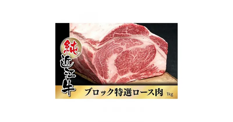 【ふるさと納税】近江牛 特撰 ロース ブロック肉 1kg | 肉 お肉 牛肉 日本三大 黒毛和牛 滋賀 ギフト 贈答 お取り寄せ グルメ 人気 おすすめ 草津市