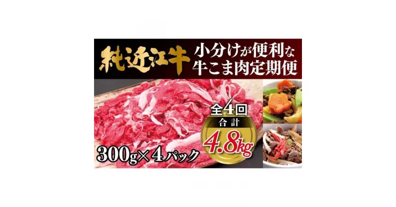 【ふるさと納税】肉 近江牛 定期便【年4回】純近江牛 小分けが便利な牛こま肉 計4.8kg ( 1.2kg × 4回 ) | 近江ビーフ 頒布会 国産 牛肉 精肉 ブランド牛 日本三大和牛 キャンプ アウトドア 滋賀県産 贈答 贈り物 ギフト 人気 おすすめ 送料無料