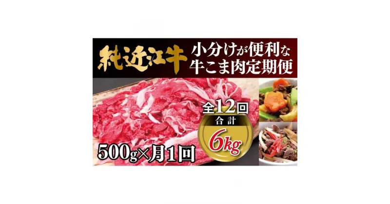 【ふるさと納税】肉 近江牛 定期便【年12回】純近江牛 小分けが便利な牛こま肉 計6kg ( 500g × 12回 ) | 近江ビーフ 頒布会 国産 牛肉 精肉 ブランド牛 日本三大和牛 キャンプ アウトドア 滋賀県産 贈答 贈り物 ギフト 人気 おすすめ 送料無料