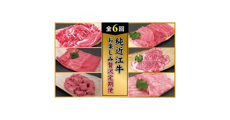 【ふるさと納税】肉 近江牛 定期便【年6回】純近江牛 お楽しみ贅沢定期便 (切り落とし／モモ／角切／ロース／ステーキ／すき焼き) | 近江ビーフ 頒布会 国産 牛肉 精肉 ブランド牛 日本三大和牛 キャンプ アウトドア 滋賀県産 贈答 贈り物 ギフト 人気 おすすめ 送料無料