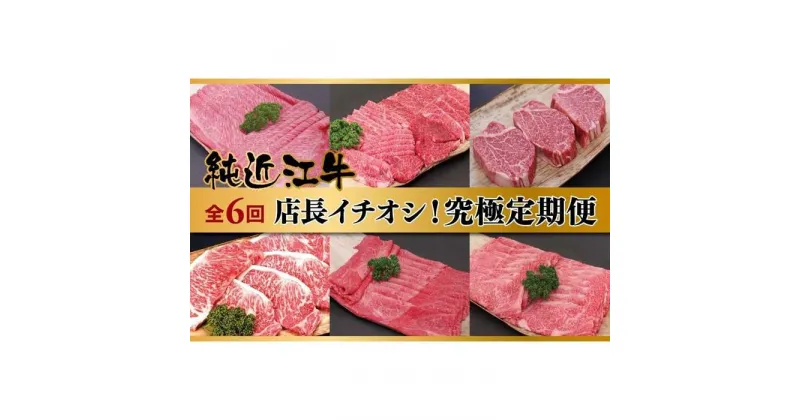 【ふるさと納税】肉 近江牛 定期便【年6回】店長イチオシ！純近江牛究極定期便 (特選ロース／ロース／フィレステーキ／特選ステーキ／極上モモ／厳選ロース) | 近江ビーフ 頒布会 国産 牛肉 精肉 ブランド牛 アウトドア 滋賀県産 贈答 贈り物 ギフト 人気 おすすめ 送料無料