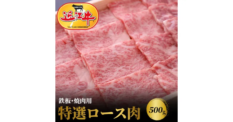 【ふるさと納税】【冷蔵でお届け可】 近江牛 焼肉用 特選 ロース 肉 500g 牛肉 霜降り 一頭買い 香り 味わい 歯ごたえ 柔らか とろける サシ ギフト 贈答 お土産 手土産 冷蔵 日時指定 お取り寄せ グルメ バーベキュー BBQ パーティー お取り寄せ グルメ 送料無料