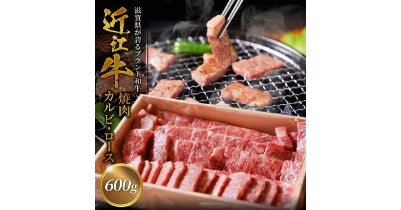 【ふるさと納税】近江牛焼肉カルビ、ロース 600g カルビ ロース 日本三大和牛 ブランド和牛 近江牛 国産 産地直送 おいしい 焼肉 食べ応えあり 牛肉 守山市