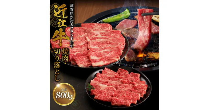 【ふるさと納税】近江牛焼肉 500g・近江牛切り落とし 300g ブランド 牛 和牛 牛肉 肉 黒毛和種 霜降り 柔らかい サシ きめ細かい 日本三大和牛 近江牛 柔らかい 牛肉 おすすめ 守山市