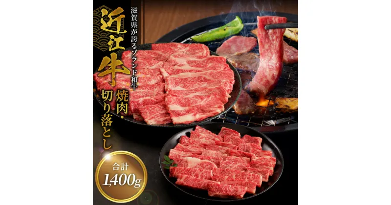 【ふるさと納税】近江牛焼肉 500g・近江牛切り落とし 300g×3 ブランド 牛 和牛 牛肉 肉 黒毛和種 霜降り 柔らかい サシ きめ細かい 日本三大和牛 近江牛 柔らかい 牛肉 おすすめ 守山市