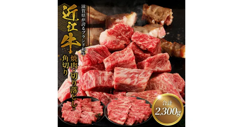 【ふるさと納税】近江牛焼肉 800g・近江牛切り落とし 300g×3・角切り 300g×2 サイコロステーキ ビーフシチュー スライス 切り落とし牛 和牛 牛肉 肉 黒毛和種 霜降り 柔らかい サシ きめ細かい とろみ 人気 焼肉 鉄板焼き ステーキ おすすめ 滋賀県 守山市