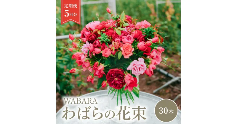 【ふるさと納税】わばら花束 定期便 30本 5回分 Rose Farm KEIJI WABARA 國枝啓司