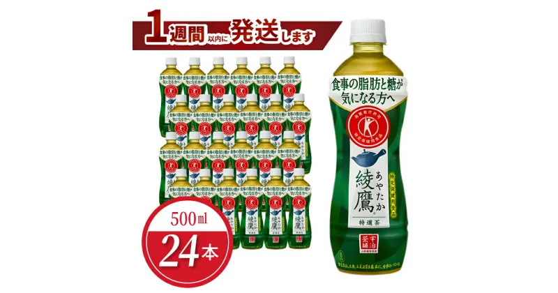 【ふるさと納税】綾鷹 特選茶 PET 500ml（24本入）特保 トクホ 特定保健用食品 緑茶 お茶 本格的味わい おいしい すっきり お取り寄せ 守山市