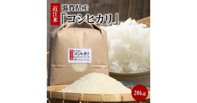 【ふるさと納税】令和6年産　近江米「コシヒカリ」 20kg