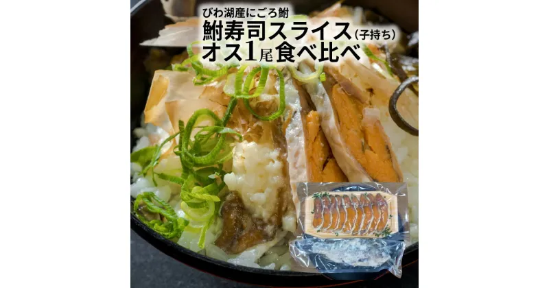 【ふるさと納税】 びわ湖産 大きめにごろ鮒（子持ち）鮒寿司 スライス・オス1尾 食べ比べ