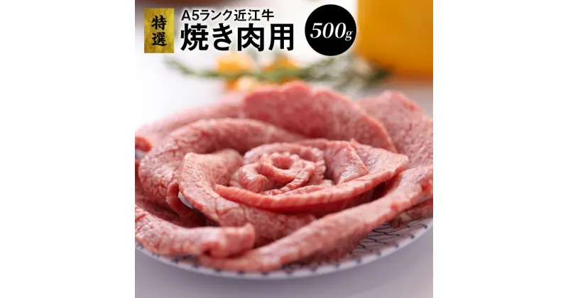 【ふるさと納税】特選 近江牛 モモ肉 A5ランク 500g 霜降り 焼肉用 認定近江牛指定店厳選 柔らかさと抜群の旨味 濃厚な味わい 牛肉 肉 焼き肉 バーベキュー BBQ キャンプ 冷凍便 国産 お取り寄せ グルメ 滋賀 送料無料