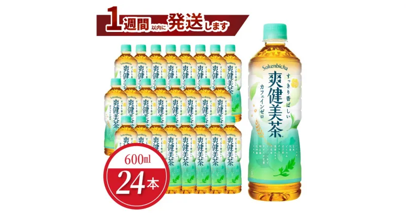 【ふるさと納税】爽健美茶 PET 600ml 24本入 1ケース ノンカフェイン ペットボトル 飲料 ドリンク お茶 ブレンド茶 植物の恵み アレルギー特定原材料等28品目不使用 コカ・コーラ 水分補給 常備 備蓄 保存 リサイクル 人気 おすすめ お取り寄せ 買い置き 送料無料