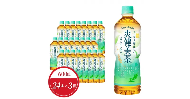 【ふるさと納税】【定期便】 3回 爽健美茶 ペットボトル 600ml 24本入 ノンカフェイン カフェインゼロ ブレンド茶 飲料 ドリンク お茶 コカ・コーラ社製品 水分補給 常備 備蓄 保存 買い置き PET リサイクル 滋賀県 守山市 お取り寄せ 送料無料