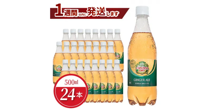 【ふるさと納税】ペットボトル カナダドライ ジンジャーエール 500ml 24本 セット 1ケース 箱 飲料 ドリンク コカ・コーラ ジンジャーエキス 水分補給 常備 保存 買い置き PET 人気 おすすめ お取り寄せ 国産 送料無料