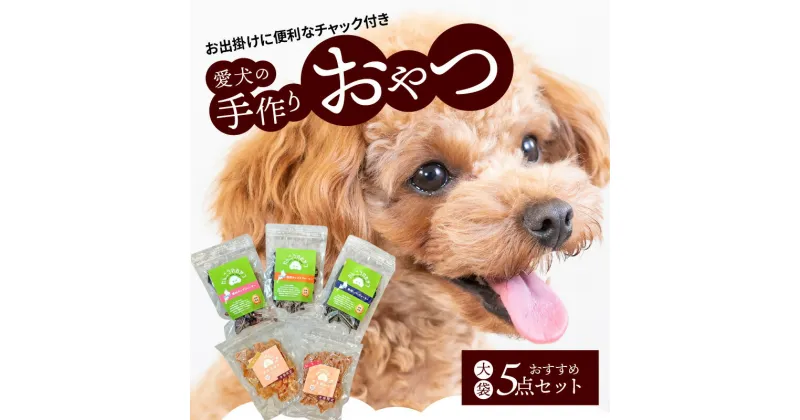 【ふるさと納税】無添加 愛犬の 手作り おやつ 大袋 5点 セット 全犬種対象 鹿肉 ペット ペットフード ジャーキー チップス 詰め合わせ Wanfood BULAN 滋賀県 守山市 お取り寄せ 送料無料