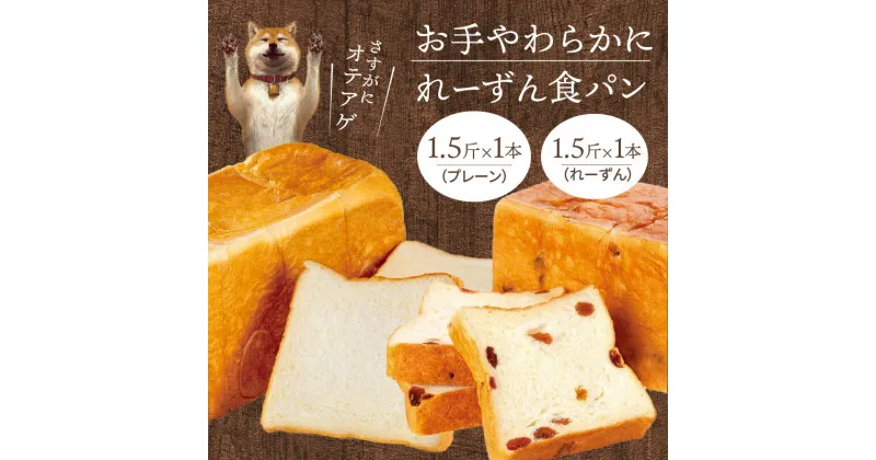 【ふるさと納税】食パン 2種類セット パン プレーン レーズン サンマスカットレーズン 食べ比べ セット パンセット 1.5斤 1本ずつ 計 2本 卵不使用 マーガリン不使用 焼き上げ 冷蔵 発送 オリジナル紙袋 冷凍保存 人気 お取り寄せ お取り寄せグルメ 送料無料