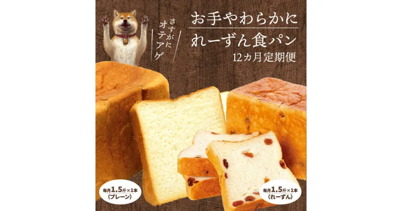 【ふるさと納税】定期便 12回 食パン 食べ比べ パン プレーン レーズン セット パンセット 月1回 1.5斤 1本ずつ お届け 卵不使用 マーガリン不使用 焼き上げ 冷蔵 発送 オリジナル 紙袋 付き 冷凍保存 人気 お取り寄せ お取り寄せグルメ 送料無料