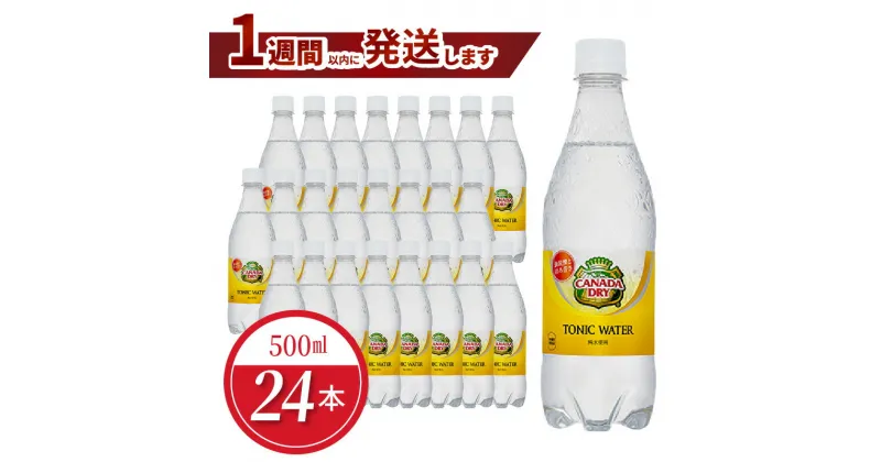 【ふるさと納税】カナダドライ トニックウォーター PET 500ml（24本入）