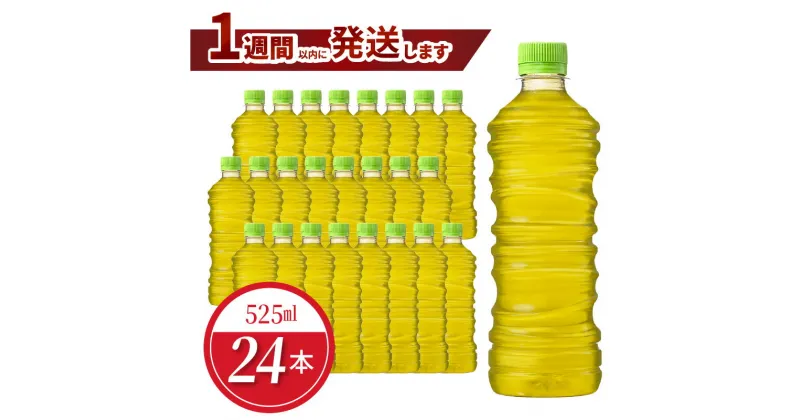 【ふるさと納税】綾鷹 525ml PET ラベルレス（24本入）