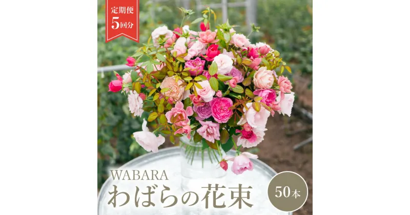 【ふるさと納税】わばら WABARA 花束50本定期便　5回分