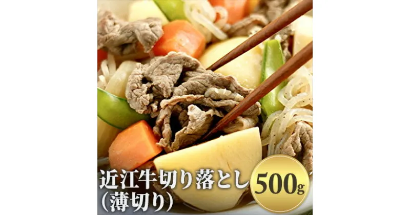 【ふるさと納税】近江牛切り落とし（薄切り）500g　牛肉炒め物・お肉・牛肉・切り落とし・カレー