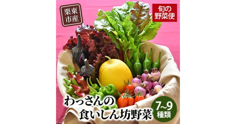 【ふるさと納税】和らぎ農法　わっさんの食いしん坊野菜　栗東市産　旬の野菜便　 野菜セット 野菜の詰合せ 旬の野菜セット 旬の野菜詰め合わせ 露地栽培 ベジタブル 国産 食材 料理 調理 食事 お楽しみ