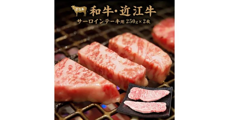 【ふるさと納税】肉 牛肉 近江牛 サーロイン ステーキ 500g ( 250g × 2枚 ) | お肉 滋賀 高級 ブランド 黒毛和牛 ギフト 美味しい 冷凍 人気 おすすめ 国産