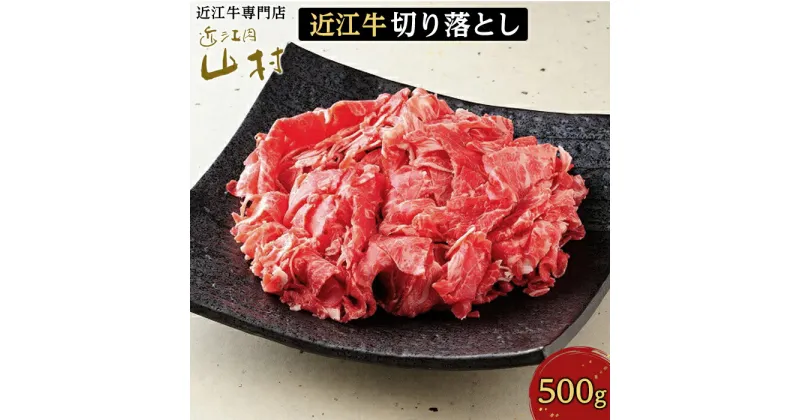 【ふるさと納税】肉 牛肉 近江牛 切り落とし 500g | お肉 牛 滋賀 高級 ブランド 黒毛和牛 切り落し 切りおとし 切落し ギフト 冷凍 人気 おすすめ 国産 お取り寄せ グルメ