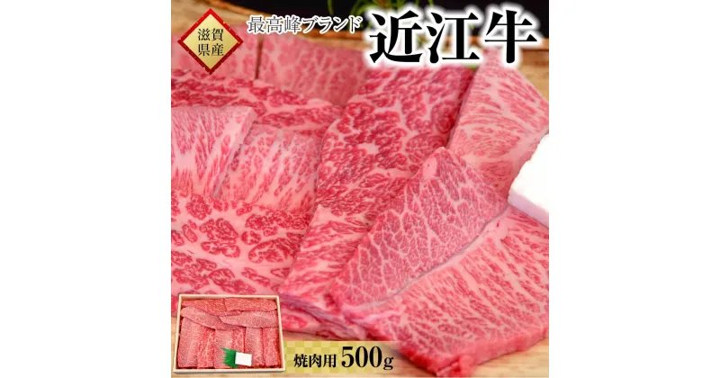 【ふるさと納税】肉 牛肉 近江牛 焼肉 500g | お肉 滋賀 高級 ブランド 黒毛和牛 焼き肉 やきにく ギフト 冷蔵 人気 おすすめ BBQ バーベキュー アウトドア キャンプ 国産 着日指定必須