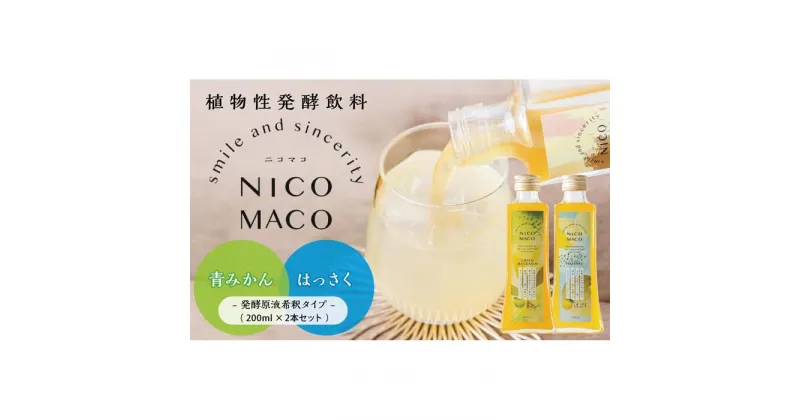 【ふるさと納税】植物性発酵飲料「NICOMACO」2本セット（青みかん、はっさく） 発酵飲料 発酵 希釈 原液 滋賀県 甲賀市 発酵飲料水 青みかん はっさく 果物 くだもの てんさい糖 てんさい | 飲料 果実飲料 ドリンク 食品 人気 おすすめ 送料無料