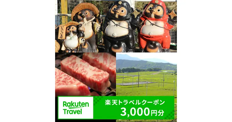 【ふるさと納税】滋賀県甲賀市の対象施設で使える楽天トラベルクーポン 寄付額10,000円