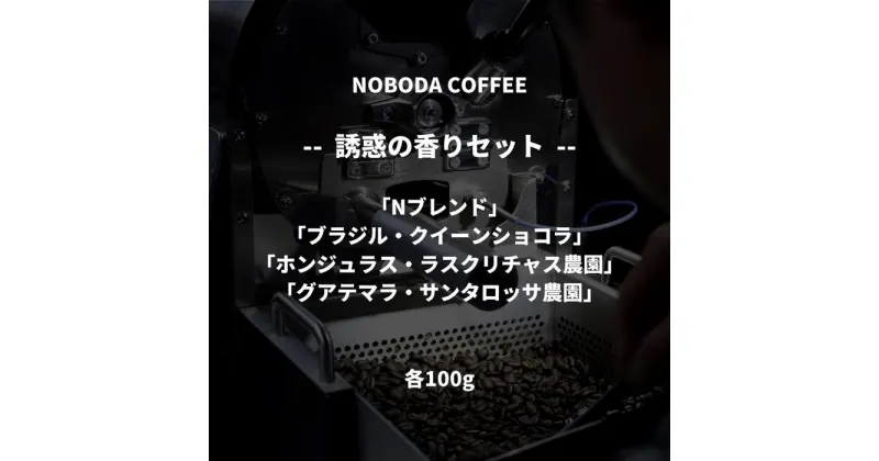 【ふるさと納税】NOBODA COFFEE 誘惑の香りセット