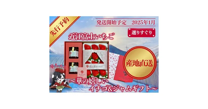 【ふるさと納税】先行予約『近江富士いちご』選りすぐり！華の嬉しいイチゴ＆ジャムギフト【イチゴ9~15粒1トレイ＆ジャム2瓶】