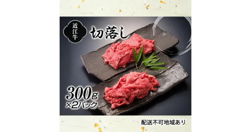 【ふるさと納税】近江牛切落し300g×2P　お肉・牛肉