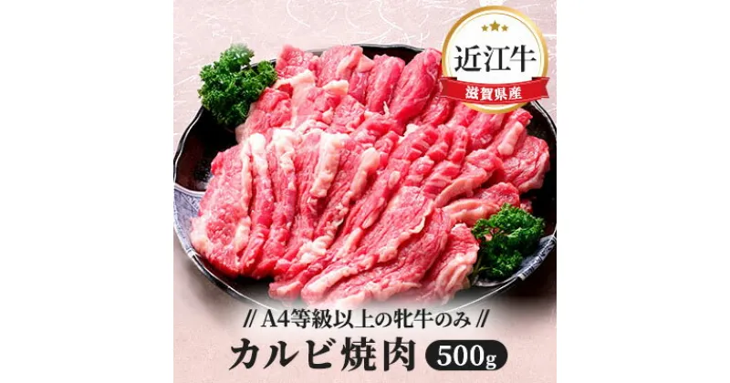 【ふるさと納税】【A4等級以上の牝牛のみ使用！！】近江牛カルビ焼肉500g　お肉・牛肉・バラ・カルビ・焼肉・バーベキュー・日本三大和牛・近江牛・焼き肉・A4