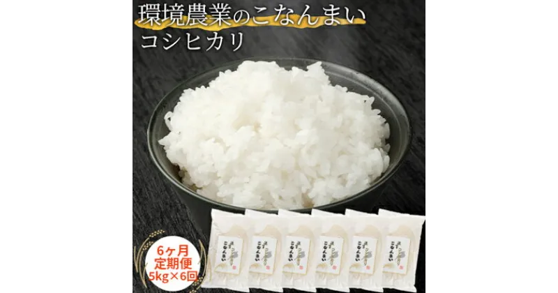 【ふるさと納税】【6ヶ月定期便】環境農業のこなんまい コシヒカリ5kg　定期便・ お米 おにぎり