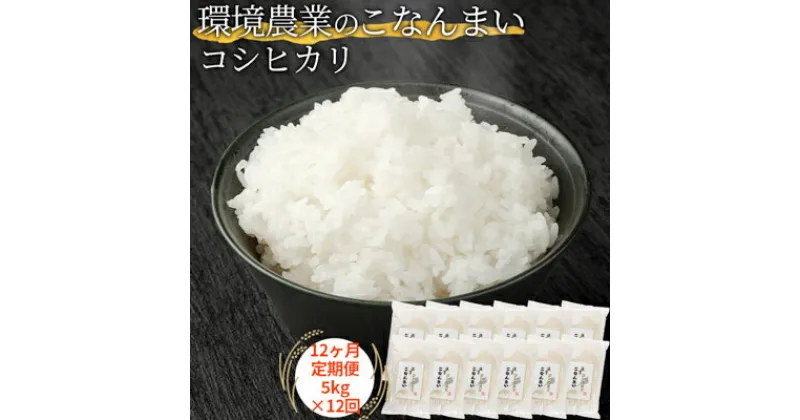 【ふるさと納税】【12ヶ月定期便】環境農業のこなんまい コシヒカリ5kg　定期便・ お米 おにぎり