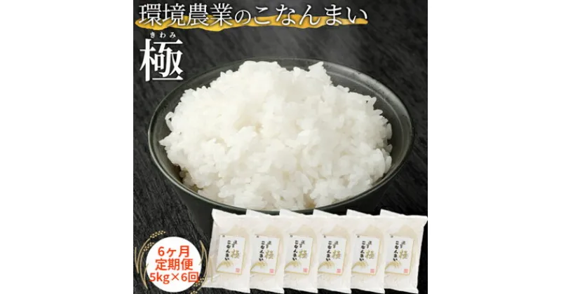 【ふるさと納税】【6ヶ月定期便】環境農業のこなんまい 極5kg　定期便・ お米 おにぎり