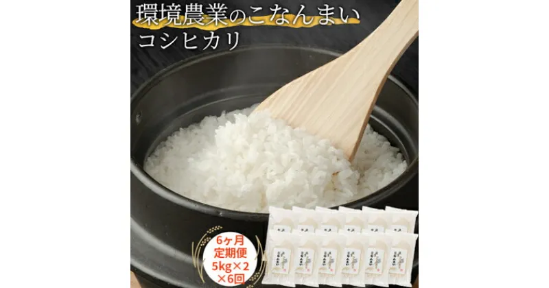 【ふるさと納税】【6ヶ月定期便】環境農業のこなんまい コシヒカリ10kg　定期便・ お米 おにぎり