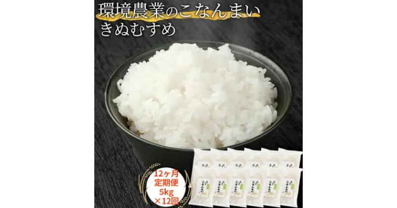 【ふるさと納税】【12ヶ月定期便】環境農業のこなんまい きぬむすめ5kg　定期便・ お米 おにぎり