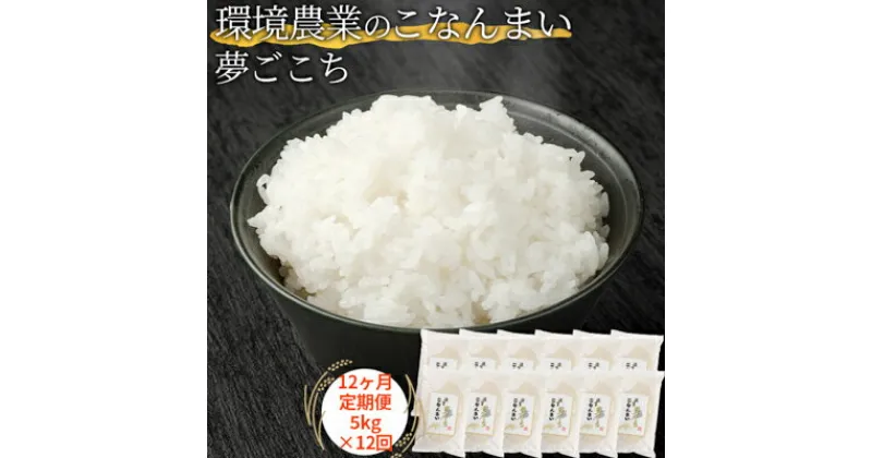 【ふるさと納税】【12ヶ月定期便】環境農業のこなんまい 夢ごこち5kg　定期便・ お米 おにぎり