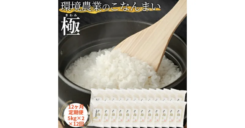 【ふるさと納税】【12ヶ月定期便】環境農業のこなんまい 極10kg　定期便・ お米 おにぎり