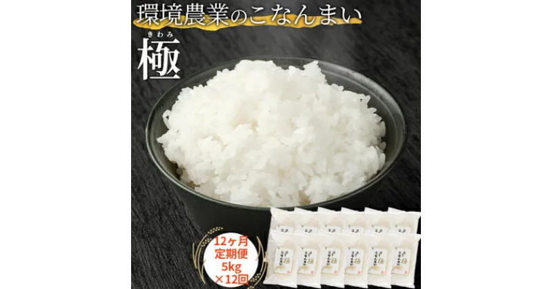 【ふるさと納税】【12ヶ月定期便】環境農業のこなんまい 極5kg　定期便・ お米 おにぎり