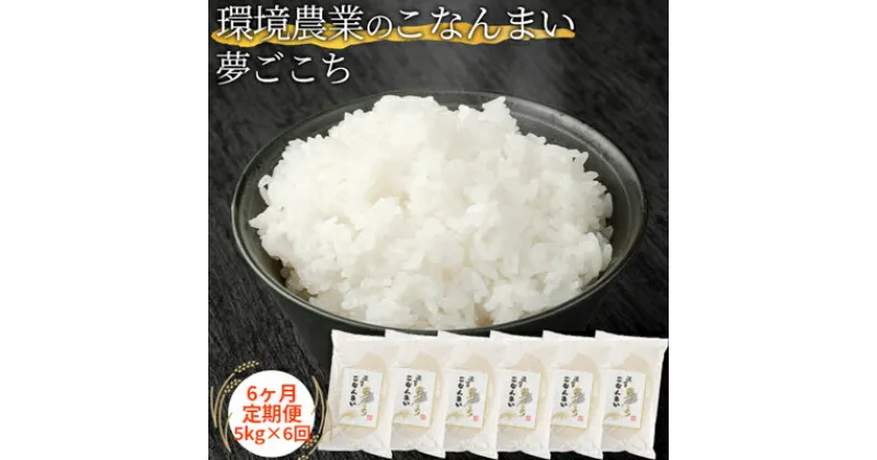 【ふるさと納税】【6ヶ月定期便】環境農業のこなんまい 夢ごこち5kg　定期便・ お米 おにぎり