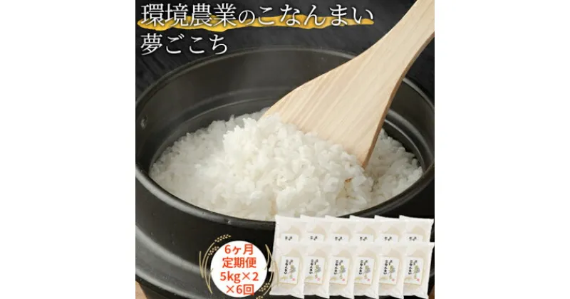 【ふるさと納税】【6ヶ月定期便】環境農業のこなんまい 夢ごこち10kg　定期便・ お米 おにぎり