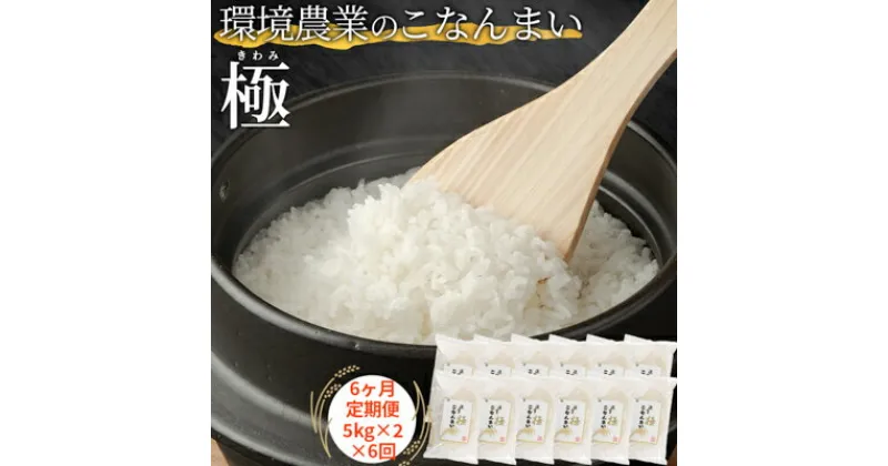 【ふるさと納税】【6ヶ月定期便】環境農業のこなんまい 極10kg　定期便・ お米 おにぎり