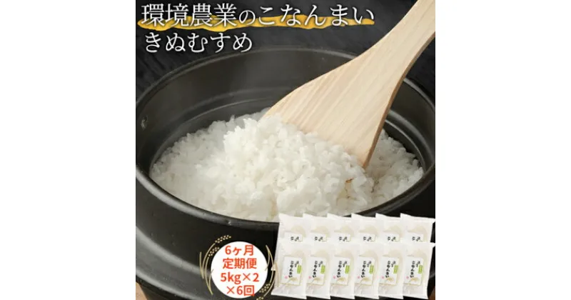 【ふるさと納税】【6ヶ月定期便】環境農業のこなんまい きぬむすめ10kg　定期便・ お米 おにぎり