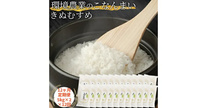 【ふるさと納税】【12ヶ月定期便】環境農業のこなんまい きぬむすめ10kg　定期便・ お米 おにぎり